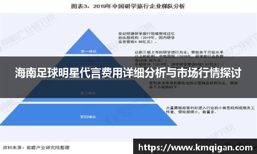 海南足球明星代言费用详细分析与市场行情探讨